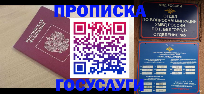 прописка законно в Пушкино